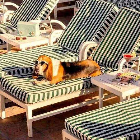 Villa Noctua Pool&beach 013