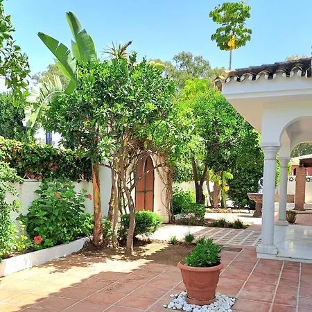 Noctua Pool And 013 *