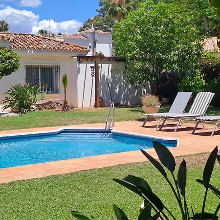 Noctua Pool And 013 *