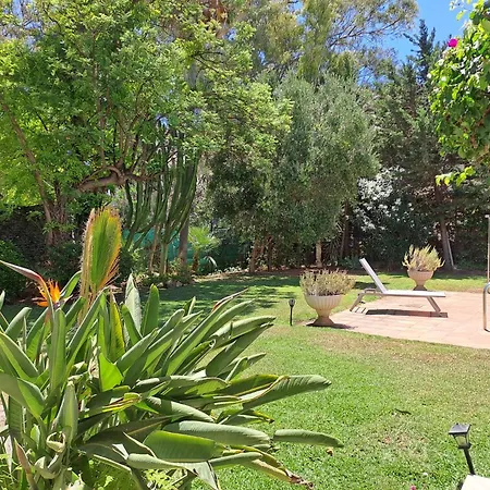 Noctua Pool And 013 إِستيبونا