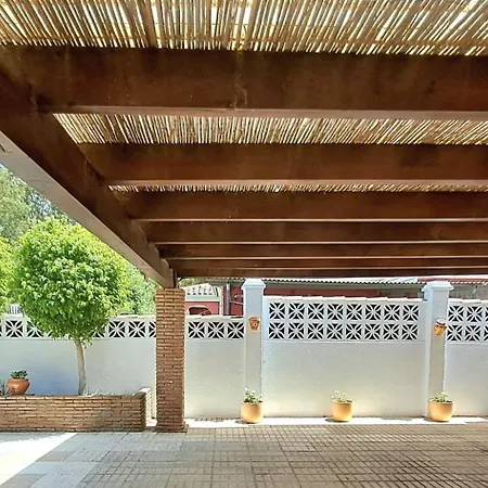 فيلة Noctua Pool And 013 *