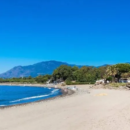 Noctua Pool And 013 Estepona