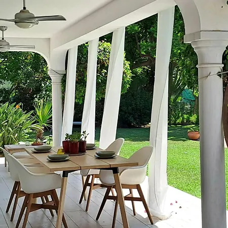 Noctua Pool And 013 Villa