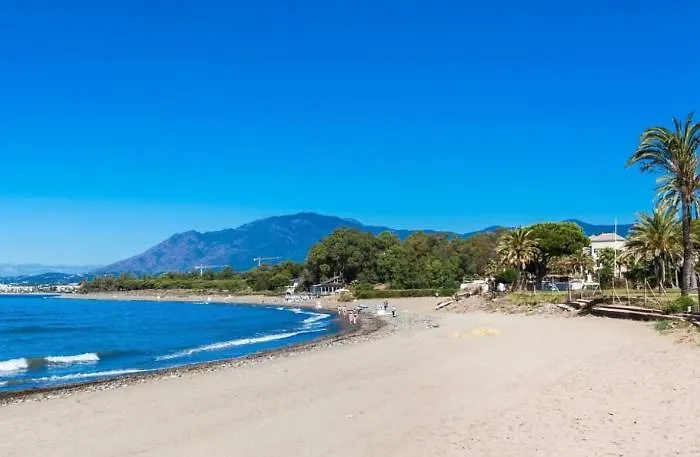 Noctua Pool And 013 Estepona