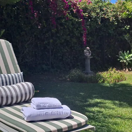 Noctua Pool And 013 * Estepona