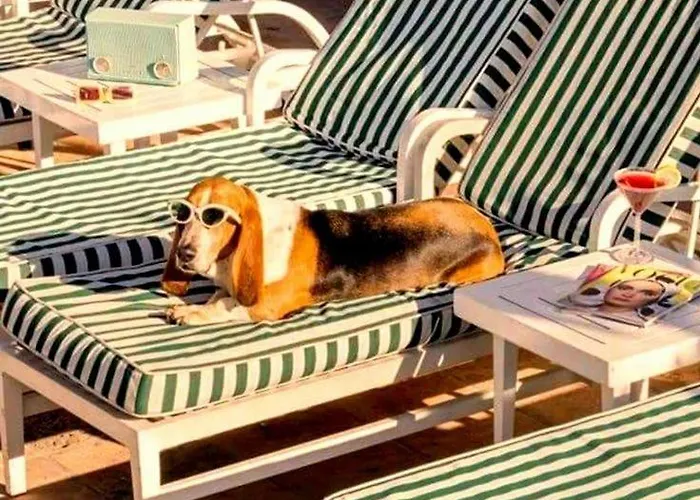 Villa Noctua Pool And 013